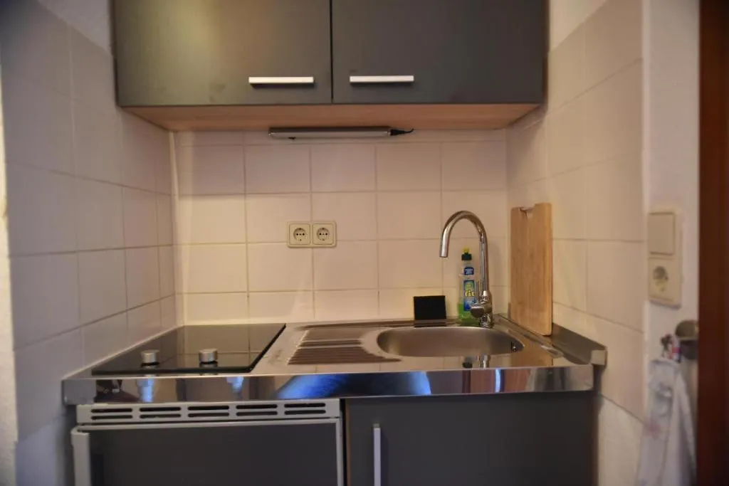 Ferienwohnung Dresden Elbe 德国